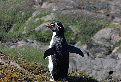 CONFINI PATAGONIA