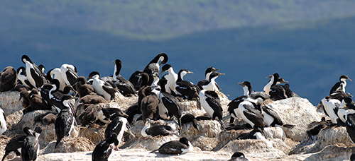 La stagione dei viaggi in Patagonia